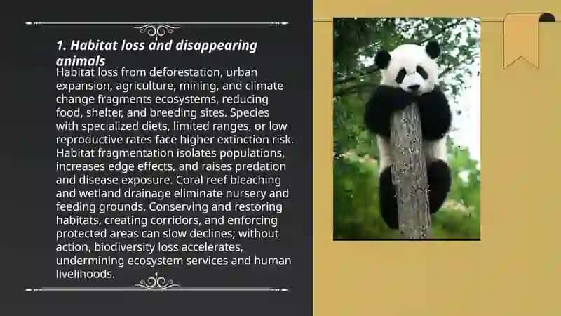 Disappearing animals 3