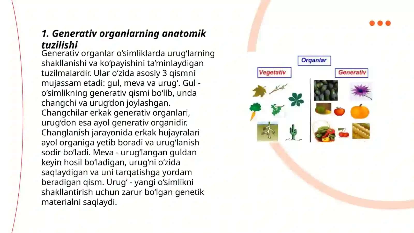 Generativ organlar 3