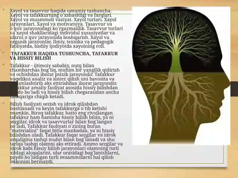 Tafakkur psixologiyasi 3