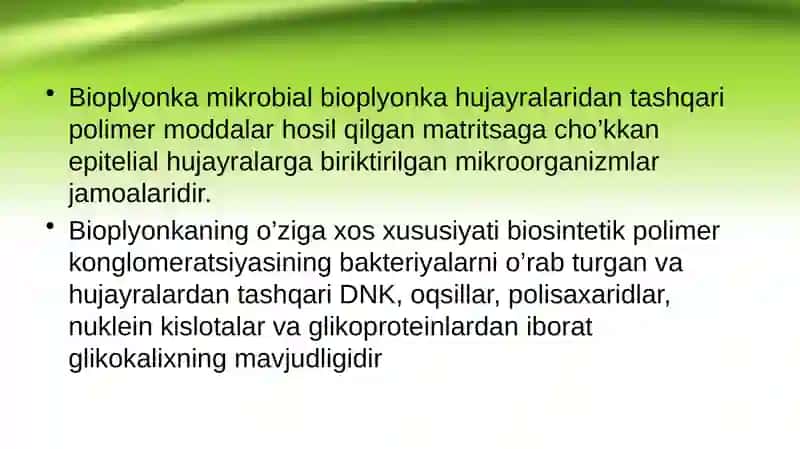 Bakteriyalarning bioplyonka hosil qilishi 3