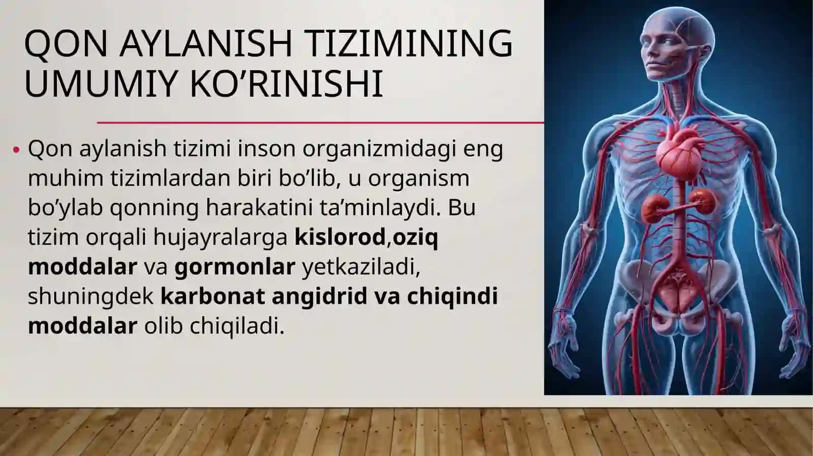 qon aylanish sistemasi 3