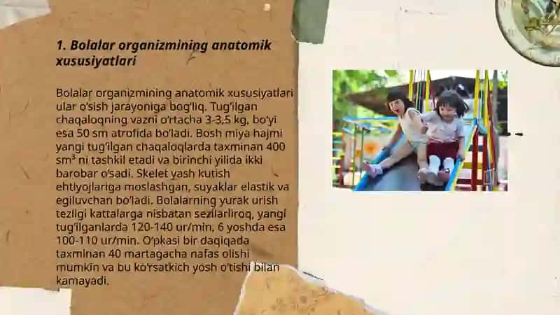 Bolalar organizmining anatomik xususiyatlari 3