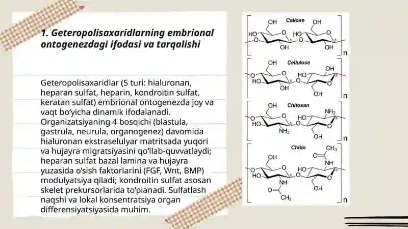 Geteropolisaxaridlarni ontogenez va kasalliklarda oʻzgarishi 3