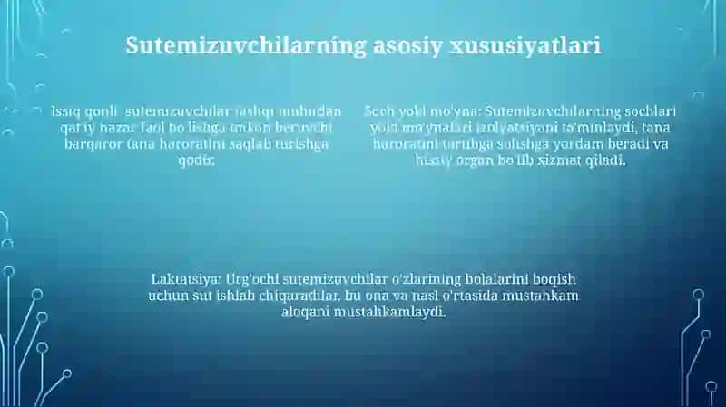 Sut Emuzuvchilar 3