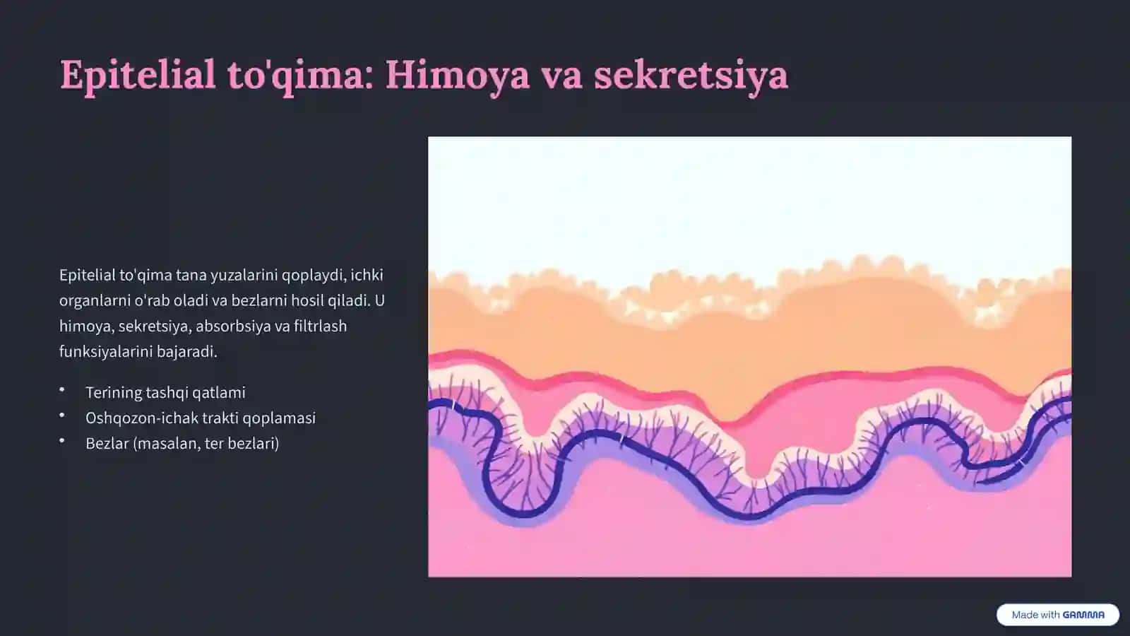 To'qimalar: Tuzilishi va Turlari 3