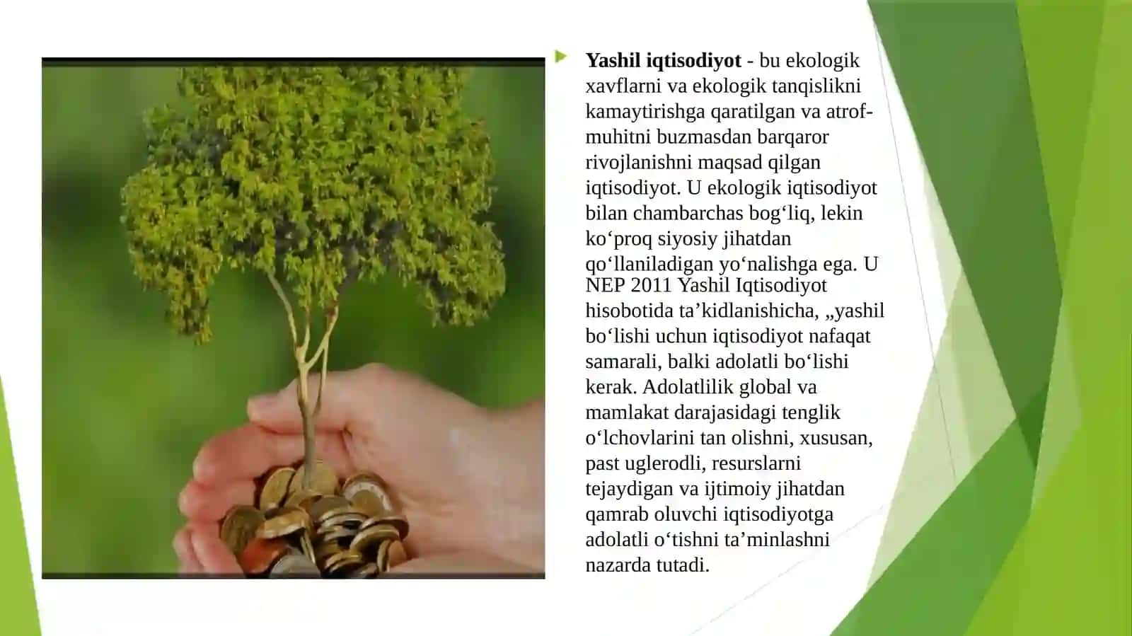 Yashil iqtisodiyotni baholash amaliyoti va indikatori 3