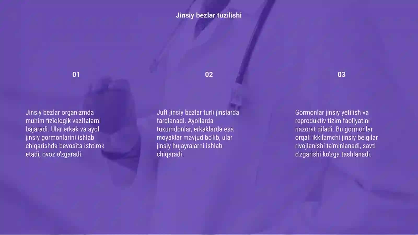 Jinsiy bezlar fiziologiyasi 3