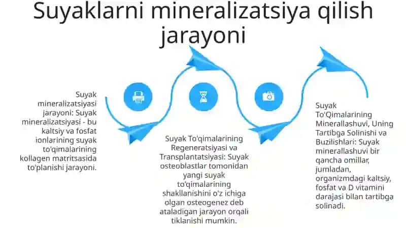 Suyak To'Qimalarining Minerallashuvi 3