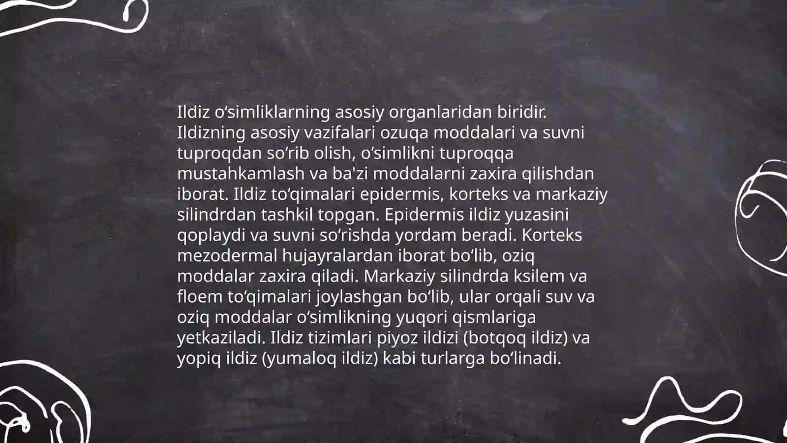 Ildiz poya barg metamorfozi 3
