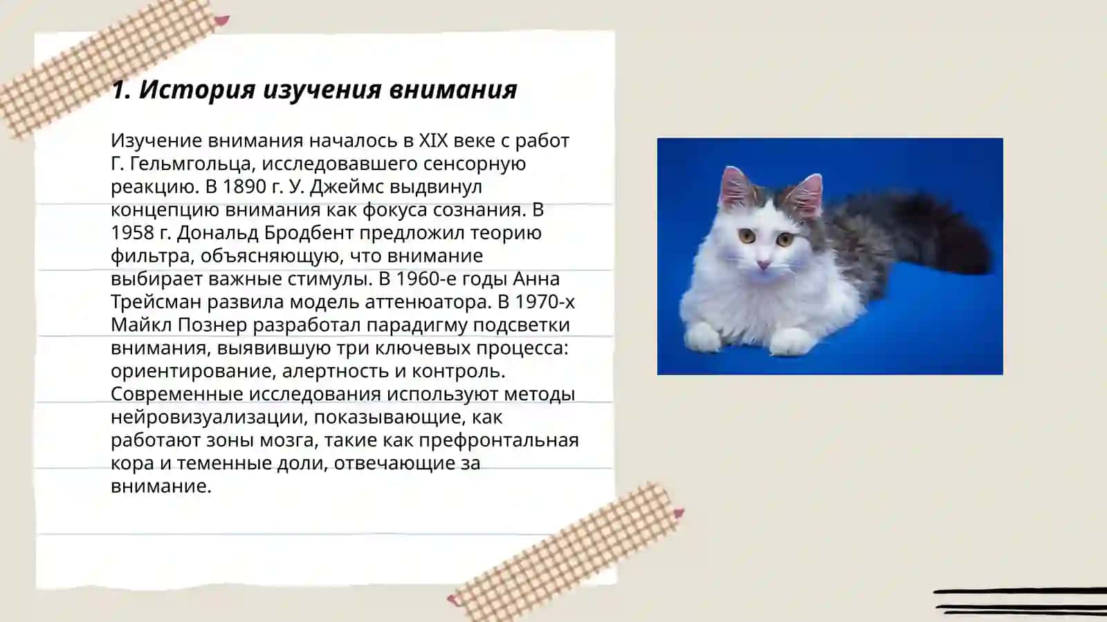 Особенности внимания 3
