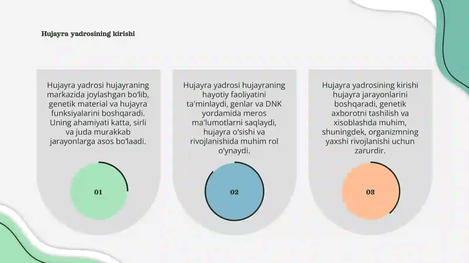 Hujayra yadrosi 3