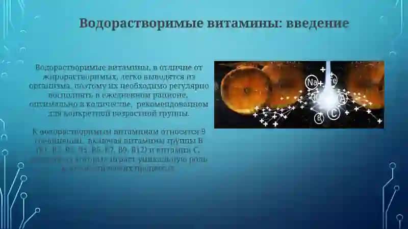 Биохимия витамино в водоростворимые витамины 3