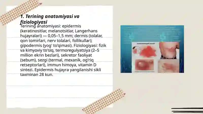Terining kasalliklari va gelmentozlari 3