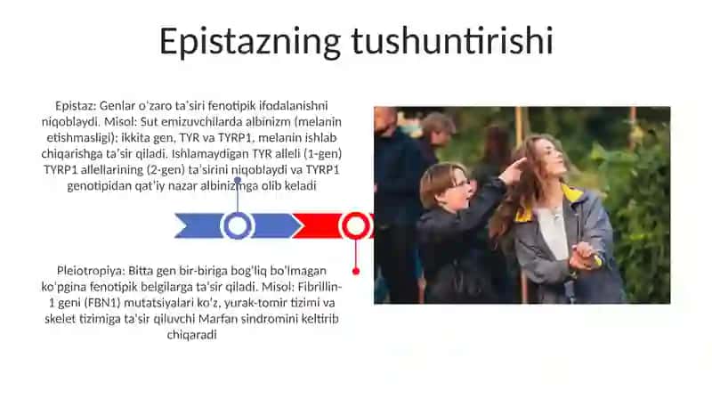 Epistazning tushuntirishi 3