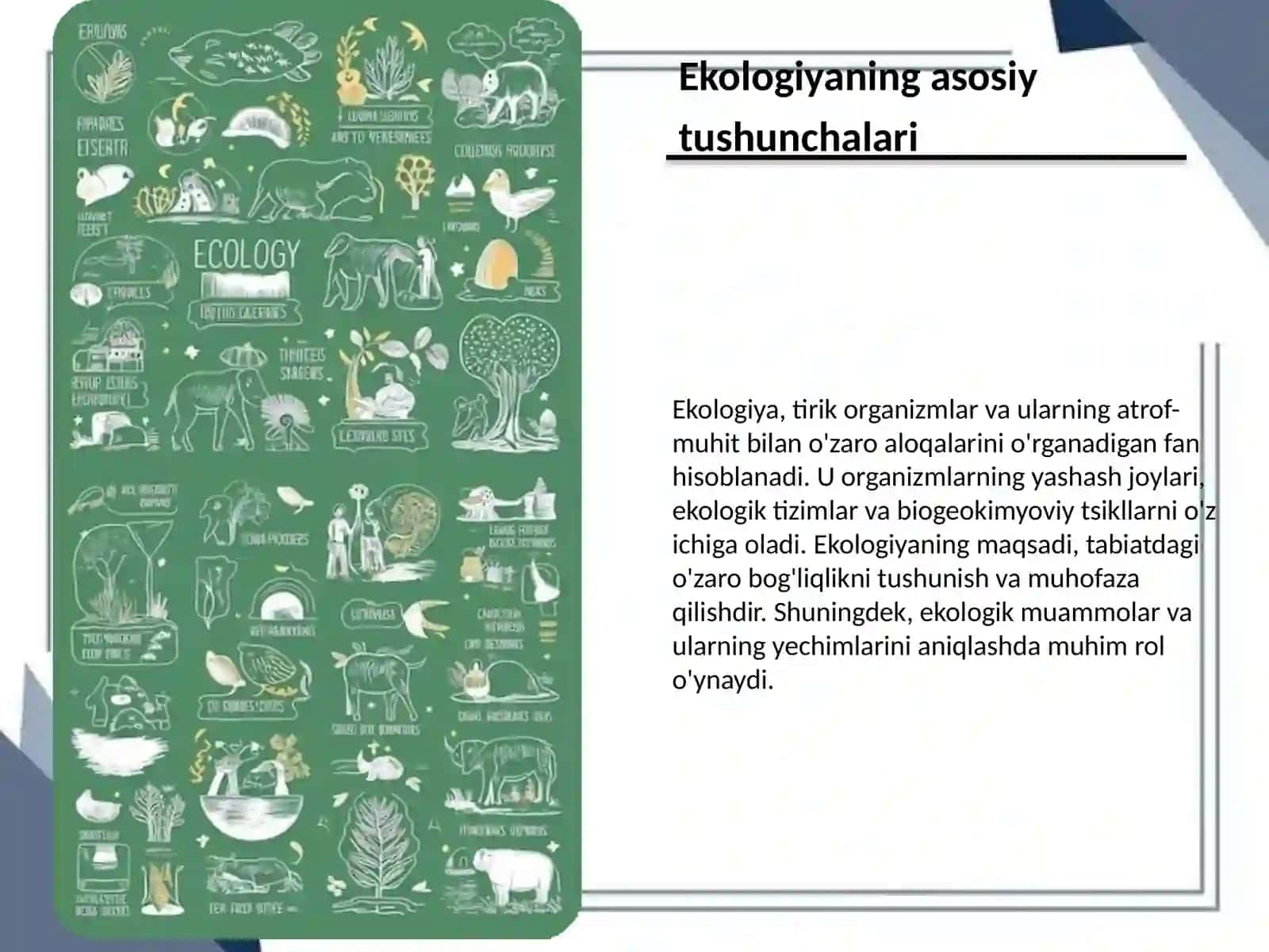 Ekologiyavademografiya 3