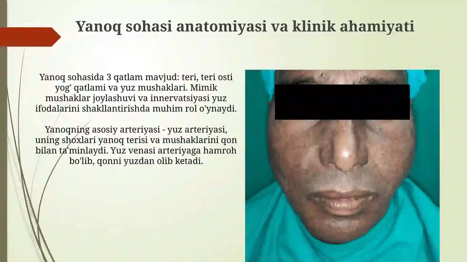 Yanoq sohasi anatomiyasi va klinik ahamiyati 3
