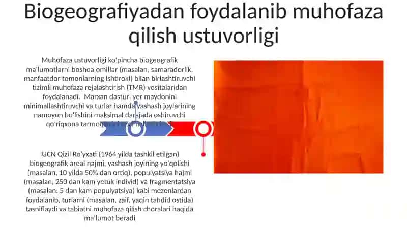 Qizil kitobni yaratilishi 3