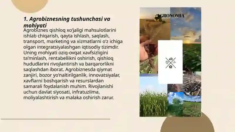 Agrobiznes, uning mohiyati va amal qilishi 3