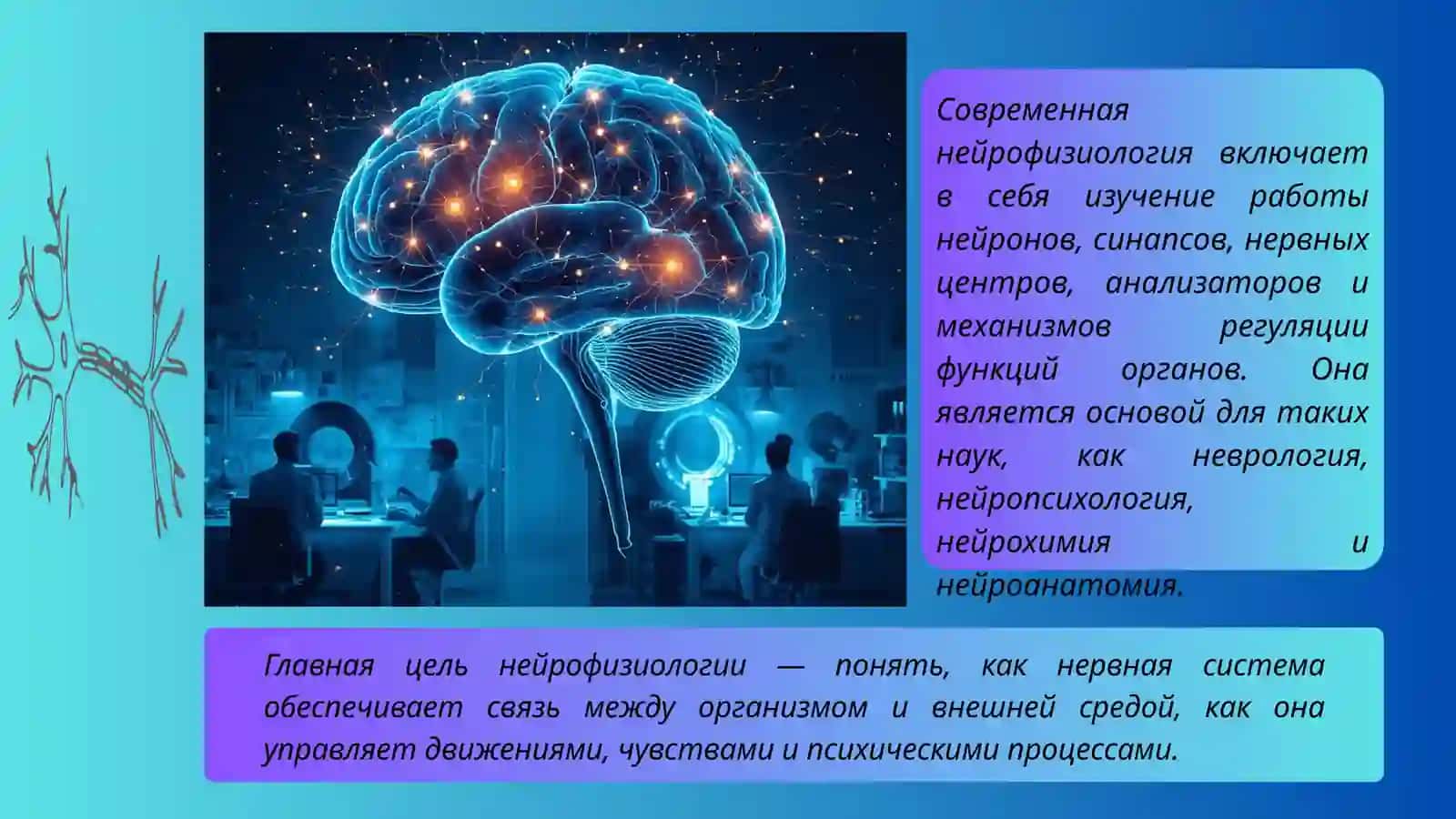 Введение в нейрофизиологии 3