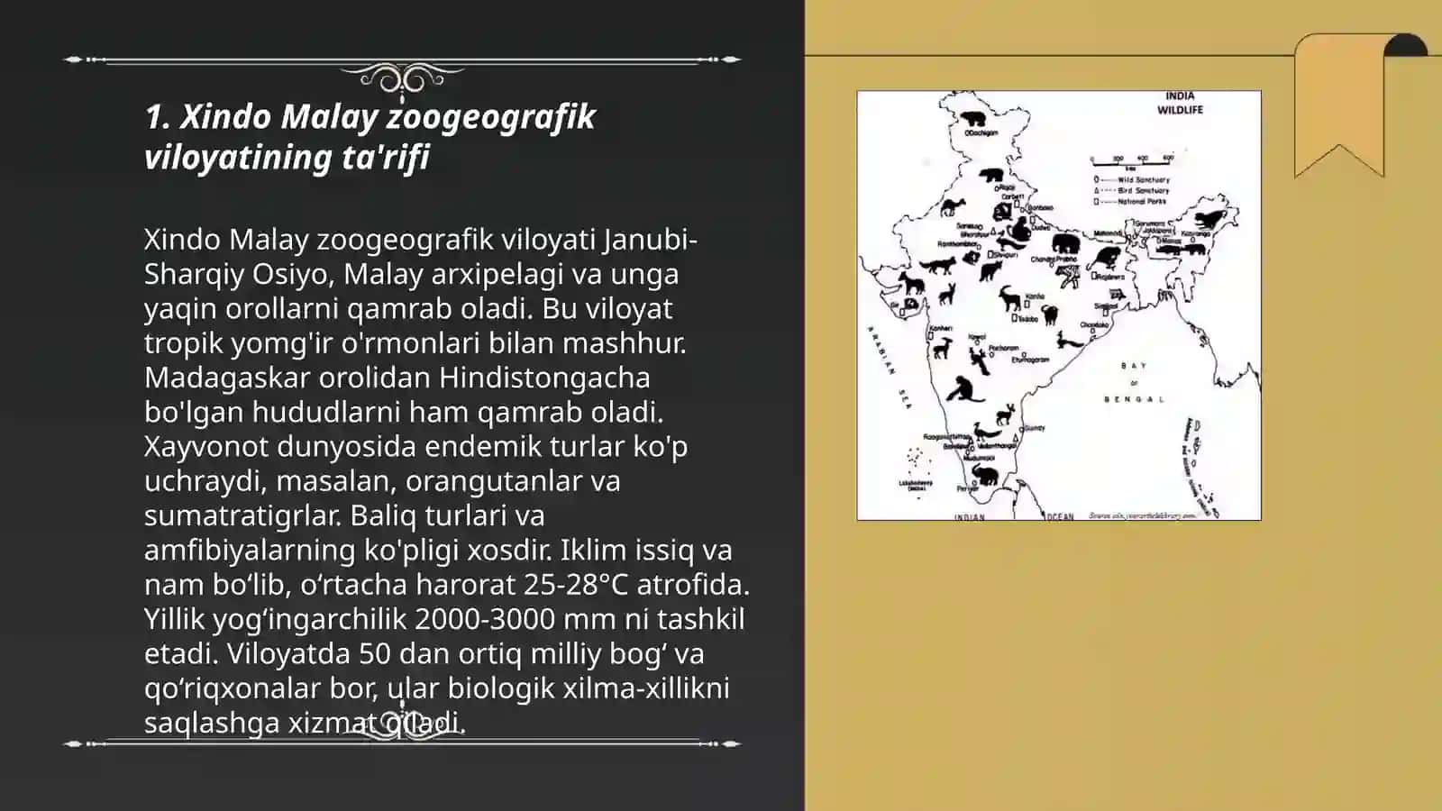 Xindo Malay zoogeografik viloyat 3