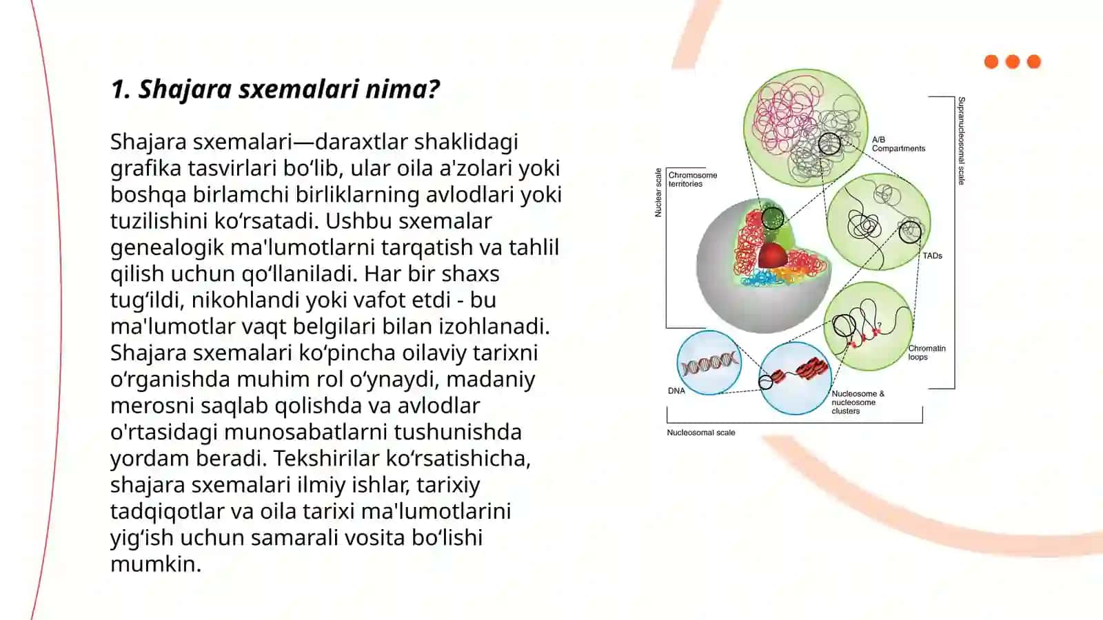 Shajara sxemalari 3