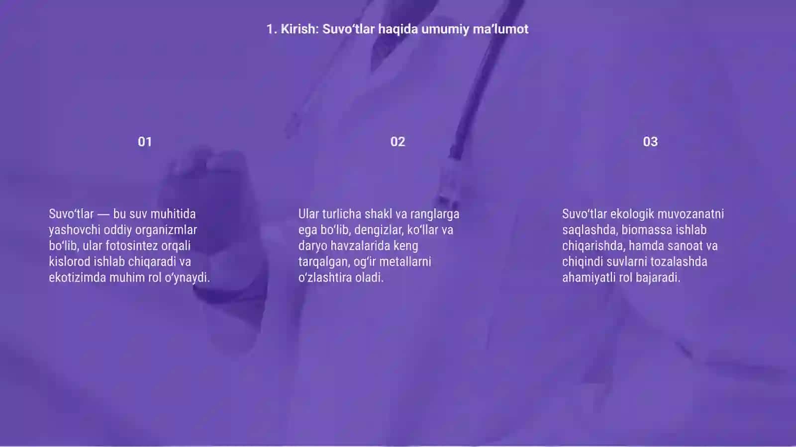 Suvoʻtlar Haqida Umumiy Maʼlumot 3