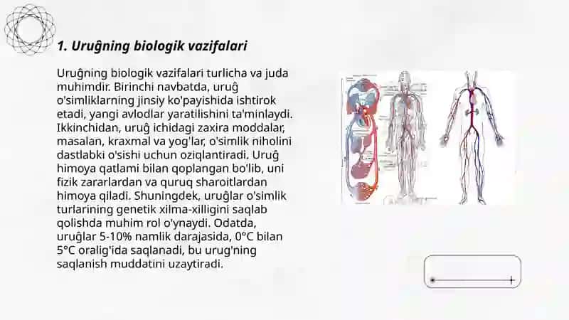 Uruĝ va mevaning tuzilishi 3