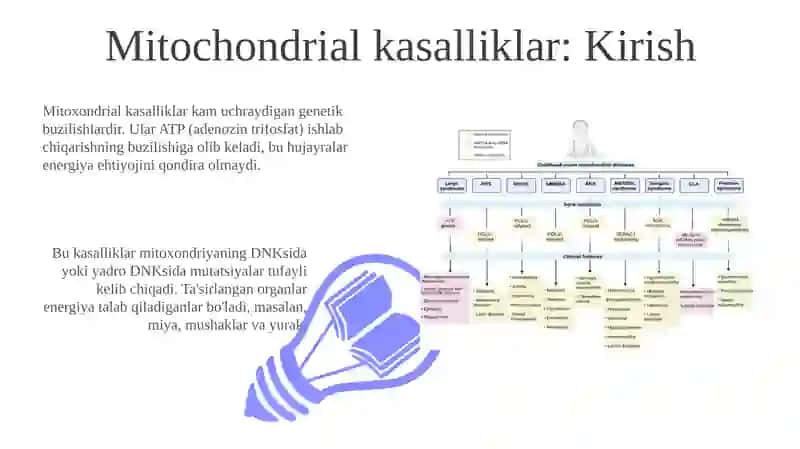 Mitoxondrial kasalliklar.Gipoenergetik holatlar 3