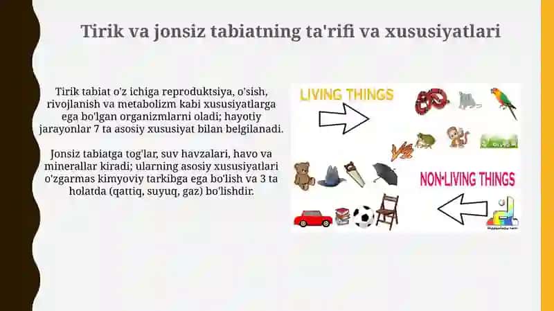 Tirik va jonsiz tabiat 3