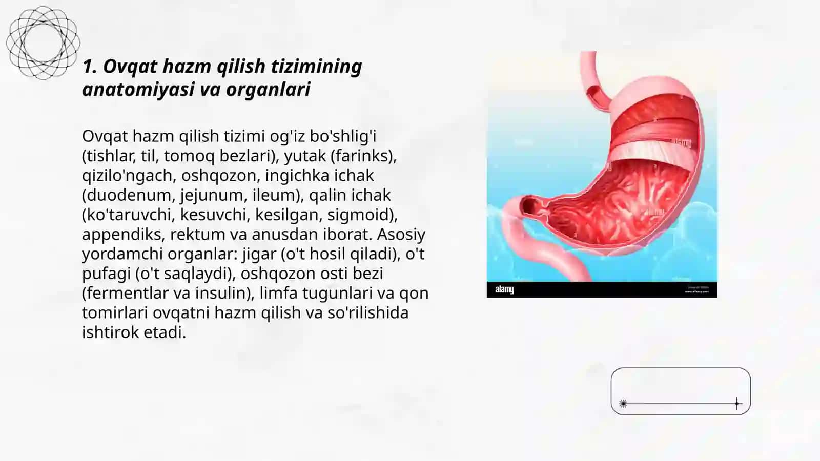 OVAQAT HAZM QILISH SISTEMASI 3