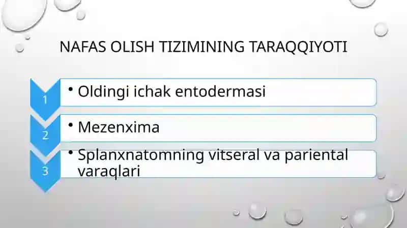 NAFAS OLISH SISTEMASI 3