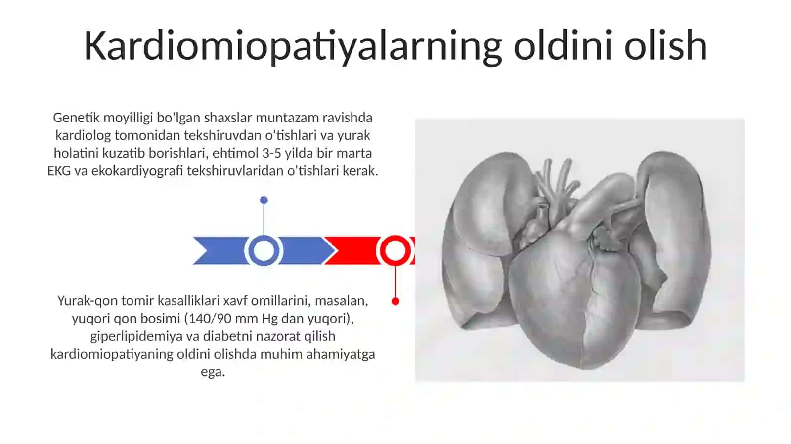 Kardiomiopatiyalar 3