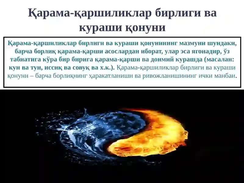 Ривожланиш ва ўзаро алоқадорликнинг умумий қонуниятлари 3