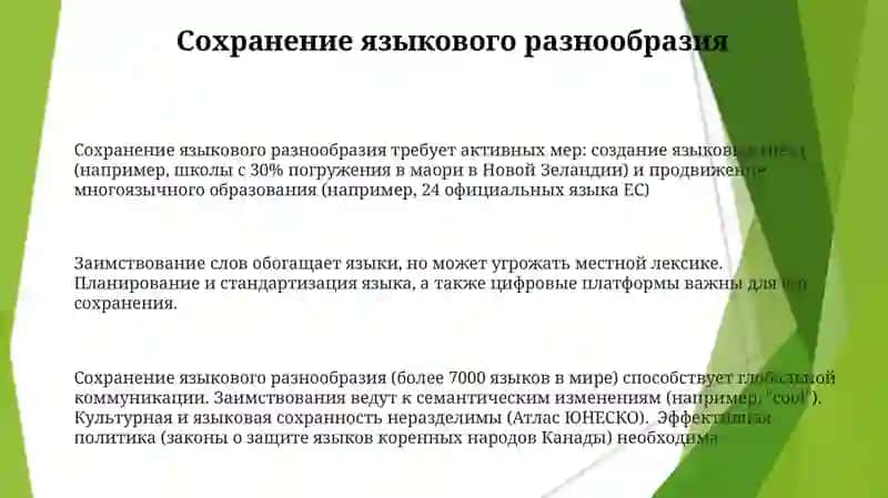 Заимствованная лексика 3