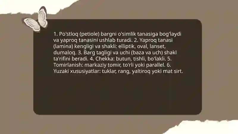 Barglarning morfologik va anatomik tuzilishi 3