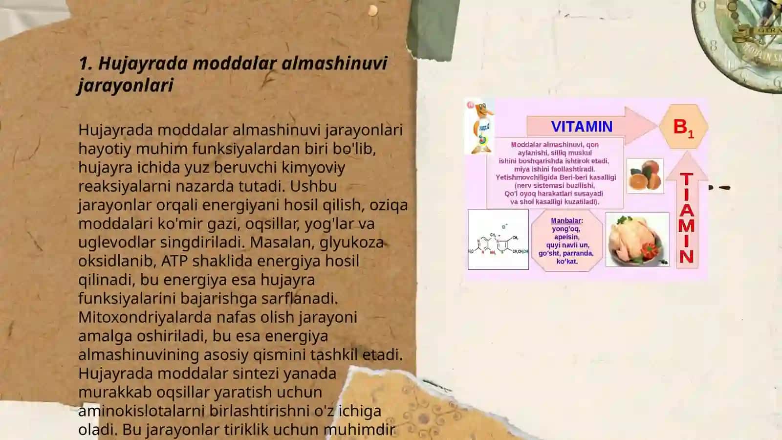 Hujayrada moddalar almashinuvi 3