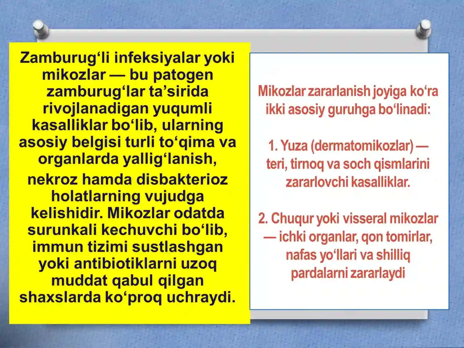 Zamburug` infeksiyalari 3