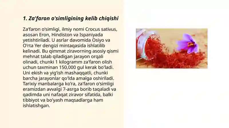 Za'faron o'simligi 3