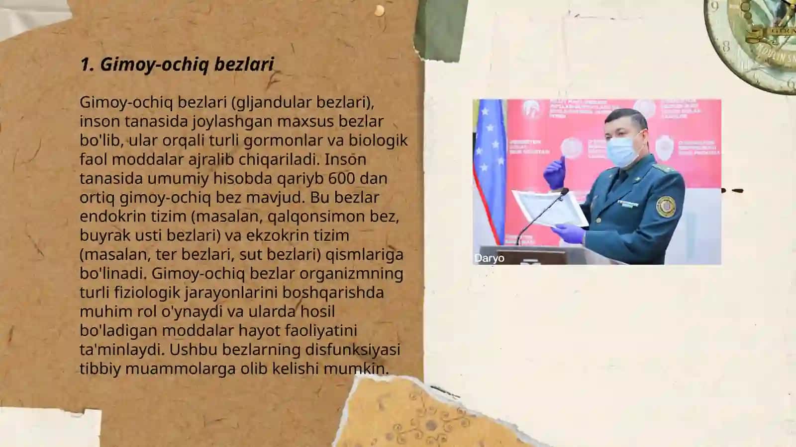 Gimoy-ochiq bezlari 3