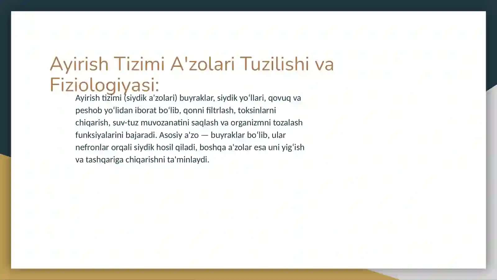 Ayırıw tızımı 3