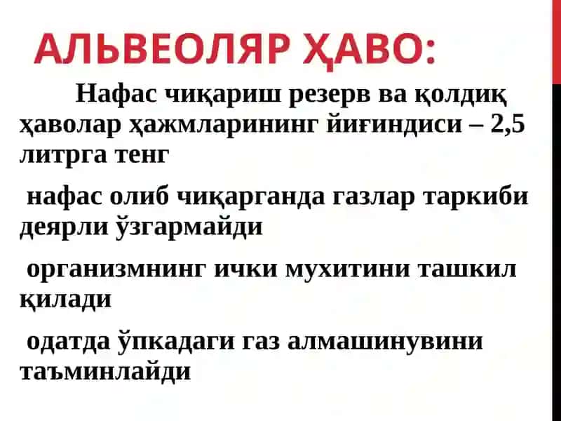 ГАЗЛАР ТРАНСПОРТИ. НАФАСНИНГБОШҚАРИЛИШИ 3