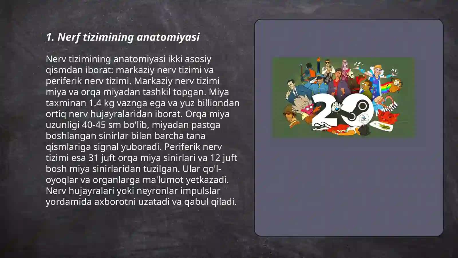 Nerf sistemasining ahamiyati va gigiyenasi 3