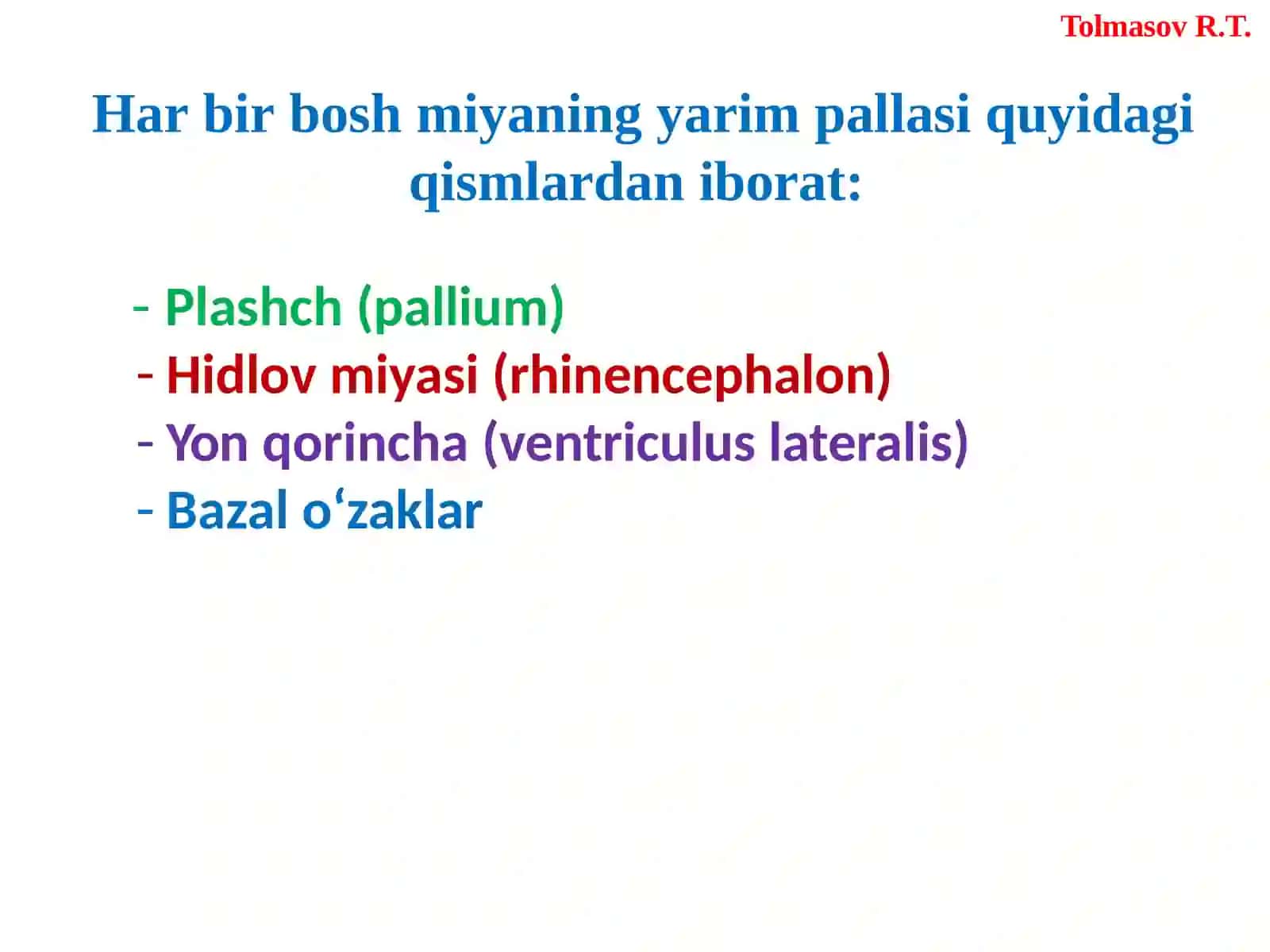 BOSHMIYA(ENCEPHALON) 3