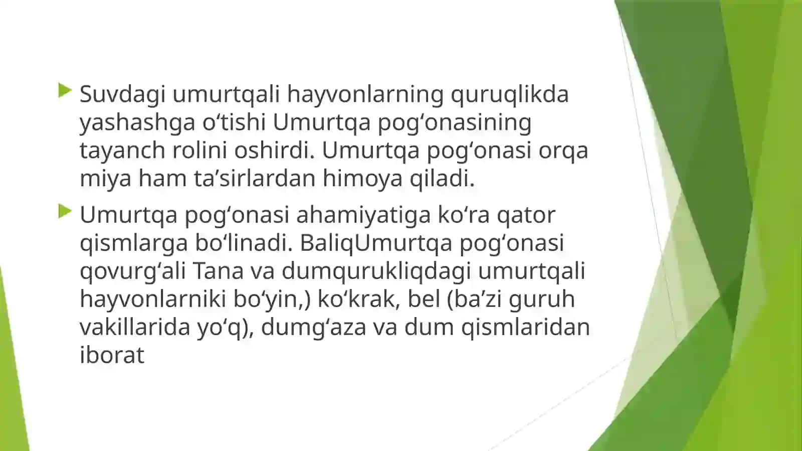 Umurtqatug'maanomaliyalari 3