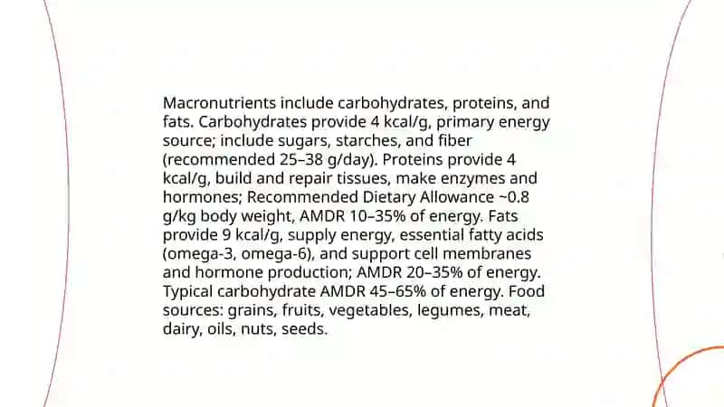 Food and Diet 3