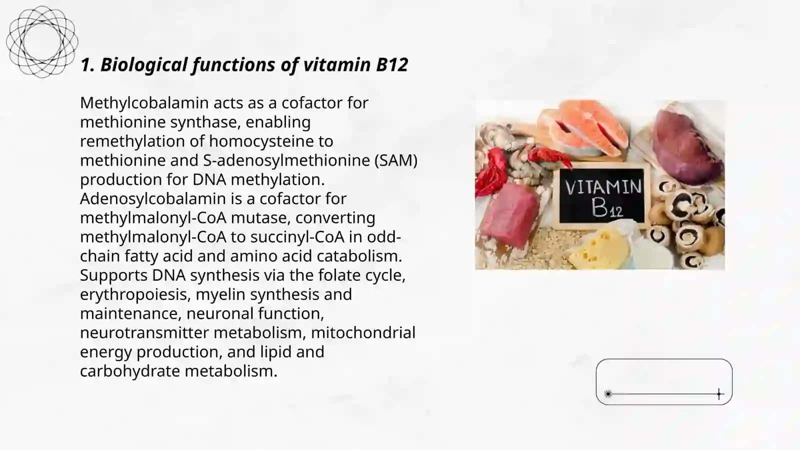 B12 vitamin 3