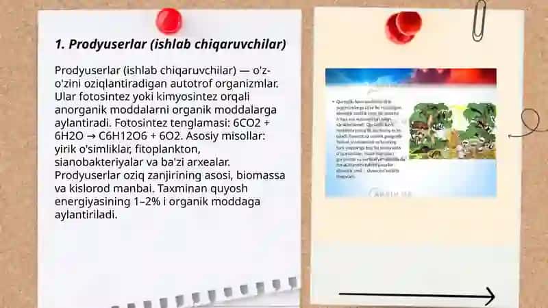 Organizmlarning ekologik guruhlari 3