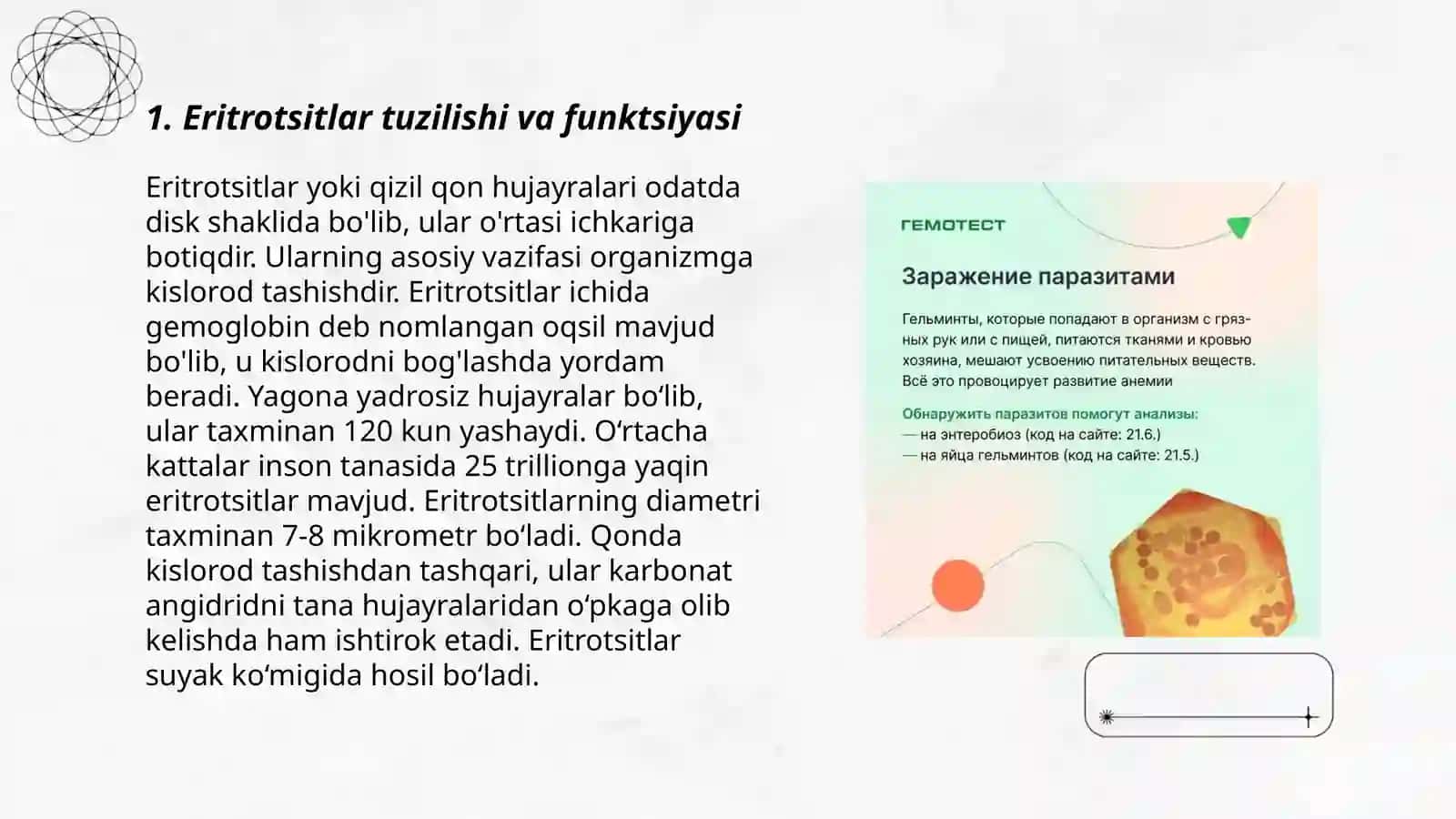 Eritrotsitlar patafiziologiyasi 3