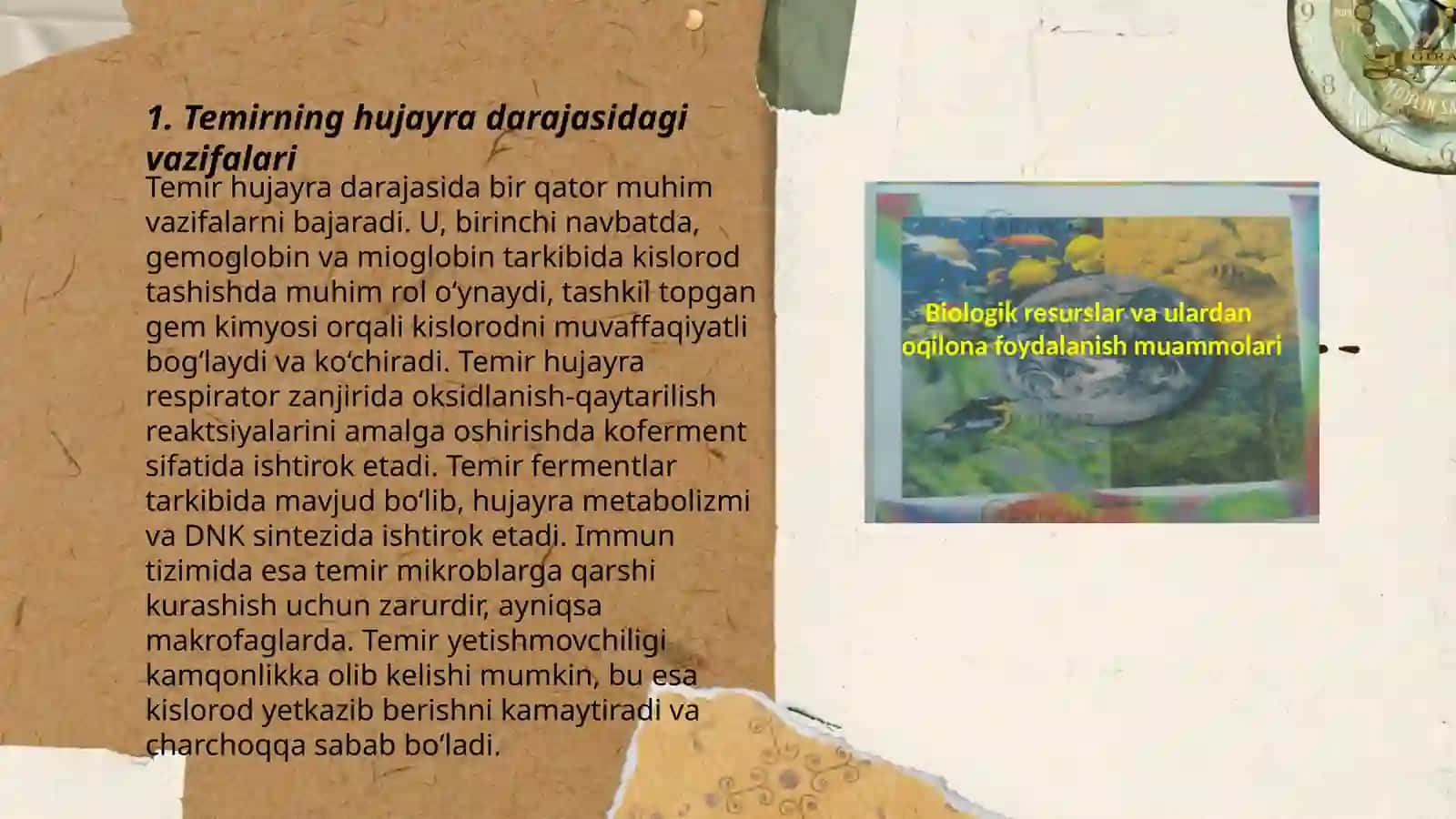 Temirning biologik ahamiyati 3