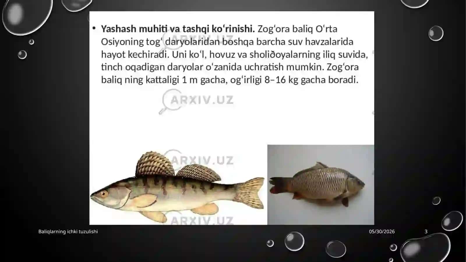 BALIQLARNING ICHKI TUZILISHI 3